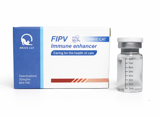 Compassionate female veterinarian holding a tabby cat gently during examination